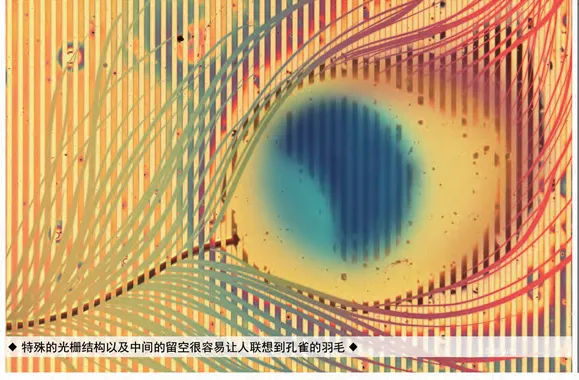 2020年11月科学艺术作品