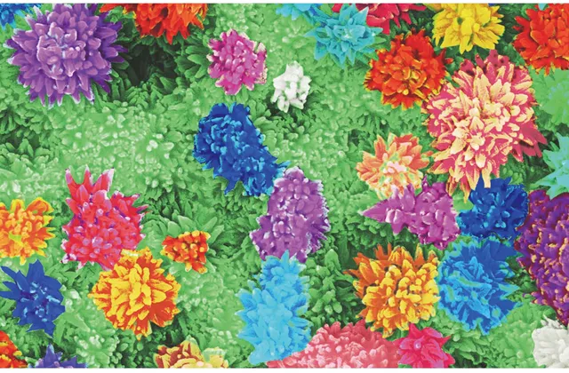 2019年4月科学艺术作品