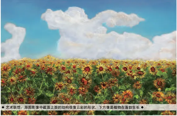2020年8月科学艺术作品