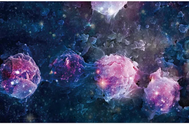 2019年11月科学艺术作品
