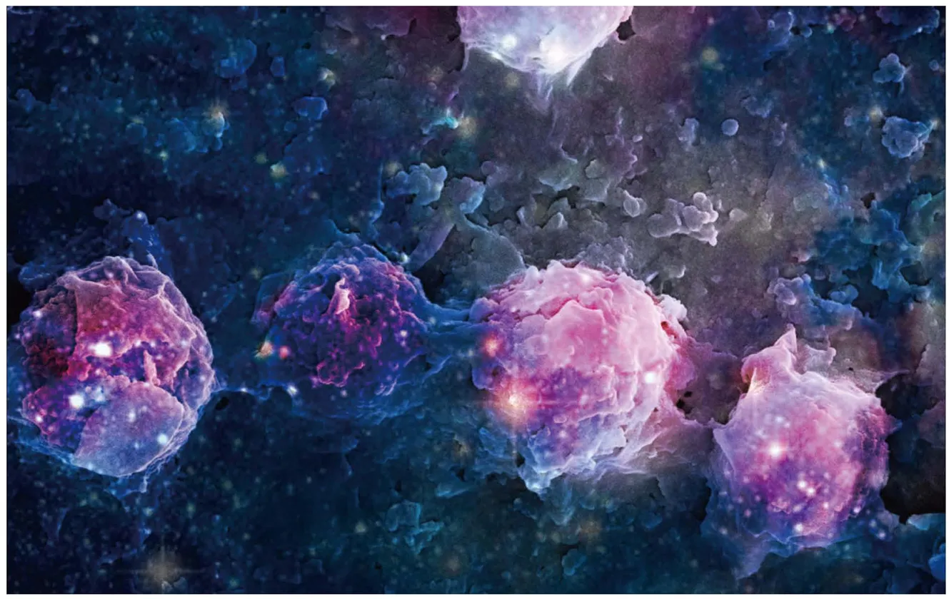 2019年11月科学艺术作品