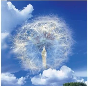作品含义：氧空位修饰的晶体氧化钨的选取电子衍射图 案，可以选择和独立地调控可见光和近红外光透过率，实现光和热 的独立调控。