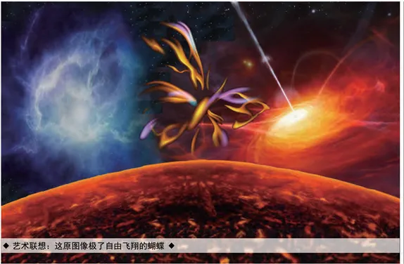 2020年5月科学艺术作品