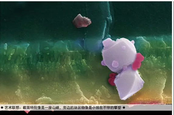 2020年12月科学艺术作品