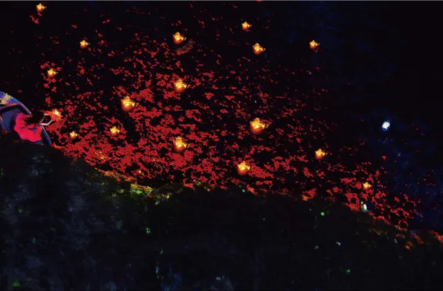 2019年8月科学艺术作品