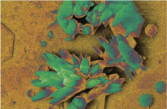 硫酸-高氯酸掺杂的聚苯胺薄膜的平面扫描电镜图