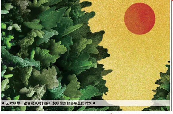 2020年6月科学艺术作品