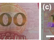 仿生超构光谱调控