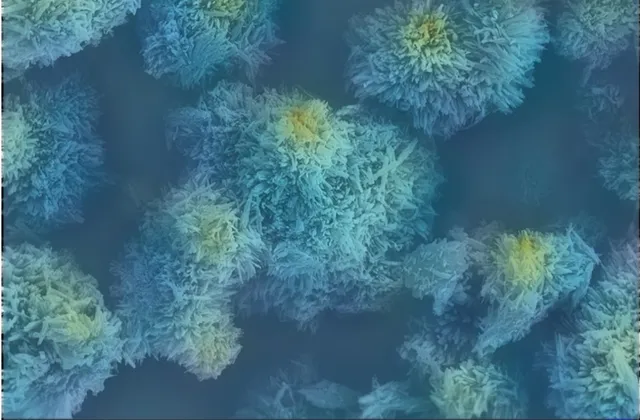 Cr-VO2